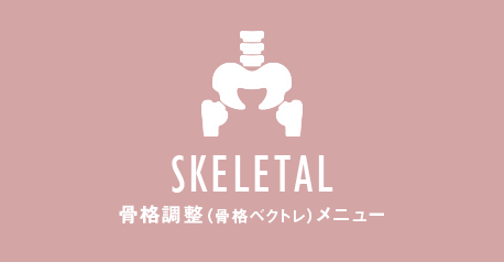 骨格調整（骨格ベクトレ）